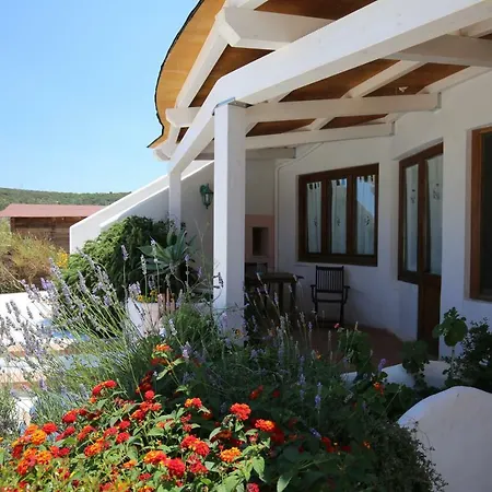 Bed and breakfast Il Cigno Ponza