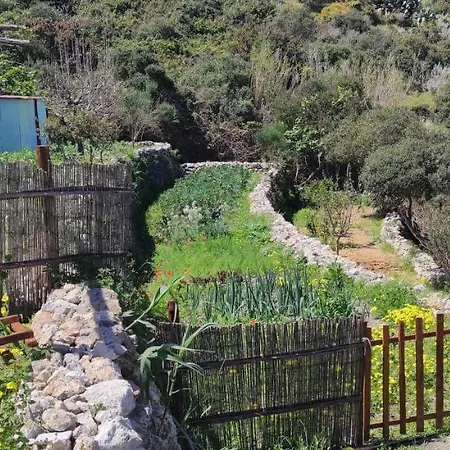 Il Cigno Panzió Ponza