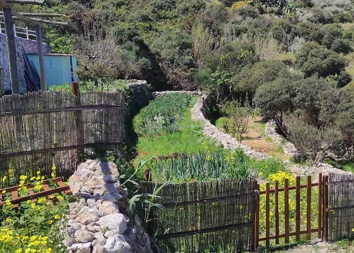 Il Cigno Frühstückspension Ponza