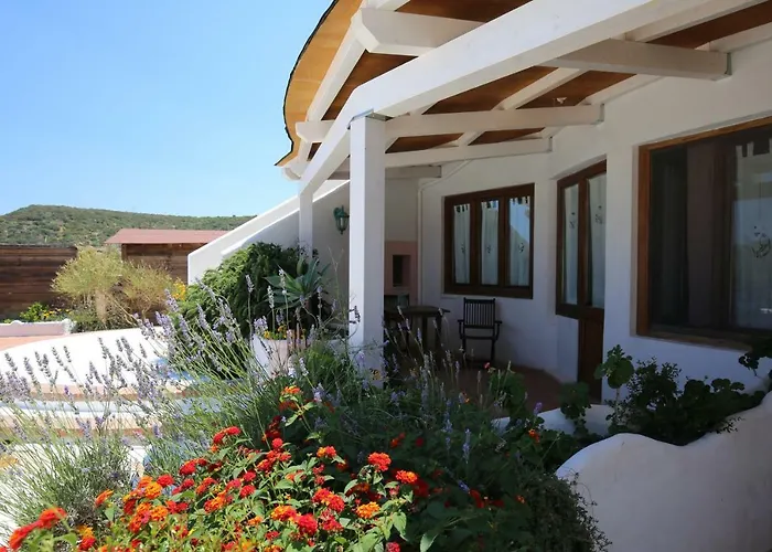 Frühstückspension Il Cigno Ponza